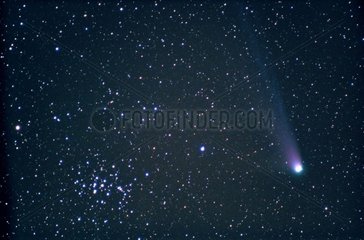 La comète C/2001 Q4 Neat et l'amas de la Crèche M44