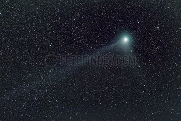 Comète Machholtz avant que la Lune n'empêche son observation