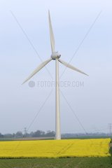 Windmühle in einem Feld in Beauftragter Frankreich