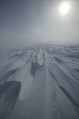 Blizzard sur la toundra à Churchill Canada