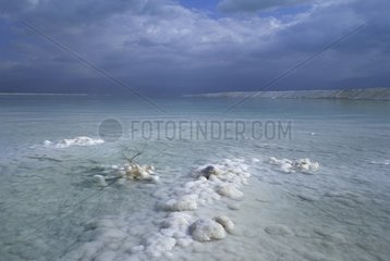 Concretions salt Dead Sea Israel