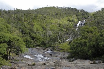 Colnett waterfall New Caledonia