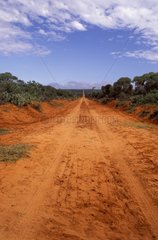 Laterite Track in the south of Madagascar