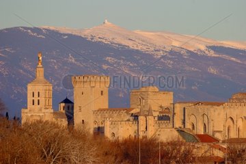 Popes palace and Mont Ventoux France