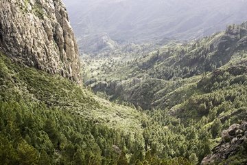 Berge mit Vegetation La Gomera Canary bedeckt