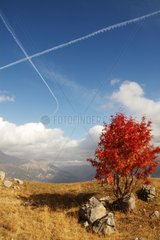 Die Flugzeugluftwolke über einem Alpine im Herbst trainieren