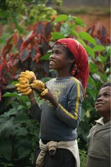 Children selling Bananas Train Manakara Madagascar