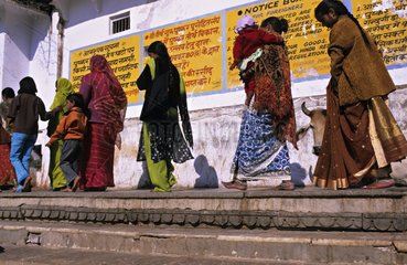 Women and Sacred Cow in the street Pushkar Rajasthan India