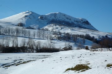 Chabrut am Berg von Cezallier Auvergne Frankreich