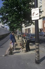 Menschen  die Kot ihres Hundes Frankreich sammeln