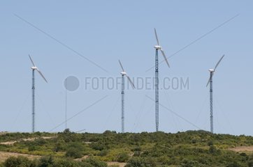 Windmühlenfarm von Villesèque des Corbières Aude Frankreich