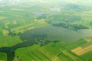 Landwirtschaftliche Landschaft vollständig anthropisierte Niederlande