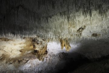 Decke der Höhle Grotta Monte Majore Sardinia Italien
