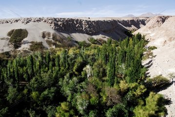 Quebrada de Jerez Toconao Atacama desert Chili
