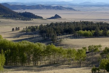 Plaines d'altitude et Rocheuses prés de Colorado Spring