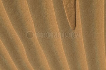 Sanddune in den Vereinigten Arabischen Emiraten der Wüste