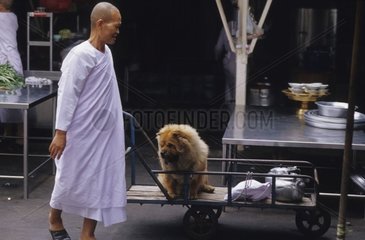 Chow Chow on a carriage with with dimensions of a Buddhist nun [AT]