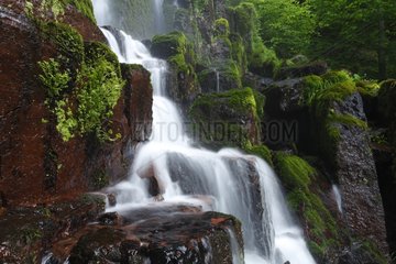 Nideck waterfall in spring - Vosges Mountains France