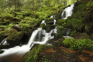 La Serva waterfall in spring - Vosges Mountains France