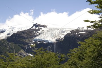 Glacier Castano overo et forêt de Nothofagus Nahuel Huapi PN