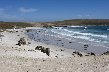 Sand shore in Pebble Island Falkland Islands