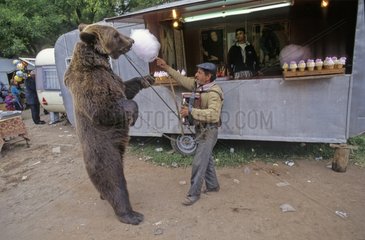 Gipsy and Brown bear dancer in a fair Bulgaria