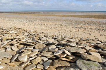 Kieselsteine â€‹â€‹an einem Strandgrau-sur-mer Frankreich aufgehoben