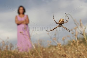 Argiope spider on its cobweb and woman in background
