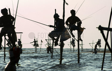 Weligama  traditional fishermen on stilts in the surf of the Indian Ocean off the south coast of the island