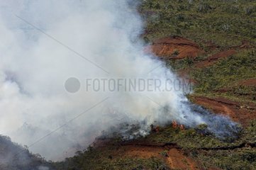 Brände aus Wald und Maquis in Neukaledonien