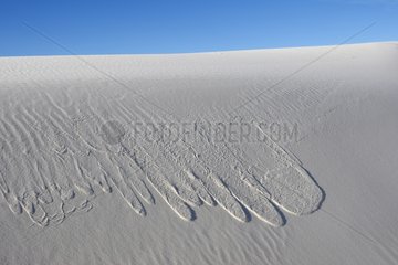 Fluss von Gips Sand White Sands National Monument USA