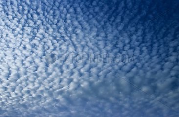 Clouds Altocumulus in a blue sky