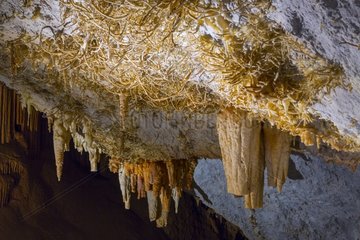 Pozalagua cave in Basque country - Spain