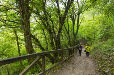 Entrance path to Skocjan Caves in Slovenia