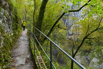 Entrance path to Skocjan Caves in Slovenia