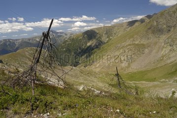 Remains of a barbed wire fence in the Alps
