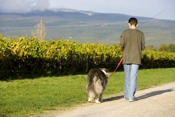 Young boy walking his old dog in the countryside France