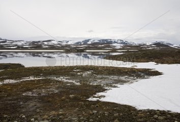 Melting snow on the plateau in spring Stekkenjokk