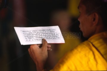 Mönch liest einen heiligen indischen Text