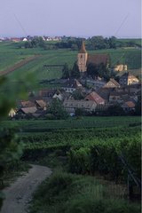 Church and vineyard Hunawiha city Alsace France