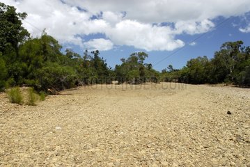Trockener Flussbett während der Trockenzeit
