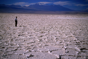 Salt crystals  salinisation. Atacama Desert  Chile  South America. Loneliness  lonesomeness  solitude  solitariness  amplitude  vastness  greatness.