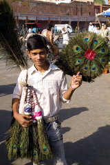 Peacock feathers for sale by boy vendor in downtown center of the Pink City of Jaipur in Rajasthan India