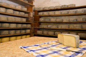 Käse in einer Livno Region Farm verfeinern