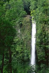 Wasserfall des Fortuna -Flusses und des tropischen Waldes Costa Rica