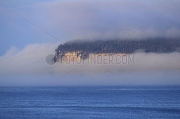 Sea fog on the Bonaventure island Quebec Canada