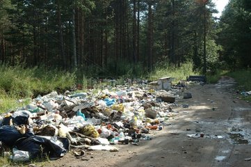 Discharge wild at exit from village in Russia