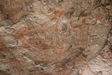 Höhlengemälde auf Felsen von Cueva del Raton