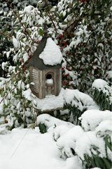 Bird nest in the snow Provence