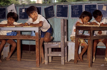 Indigenous school. Tikuna Indigenous People. Umariaçú community  Amazon rainforest. State: Amazonas; Brazil.